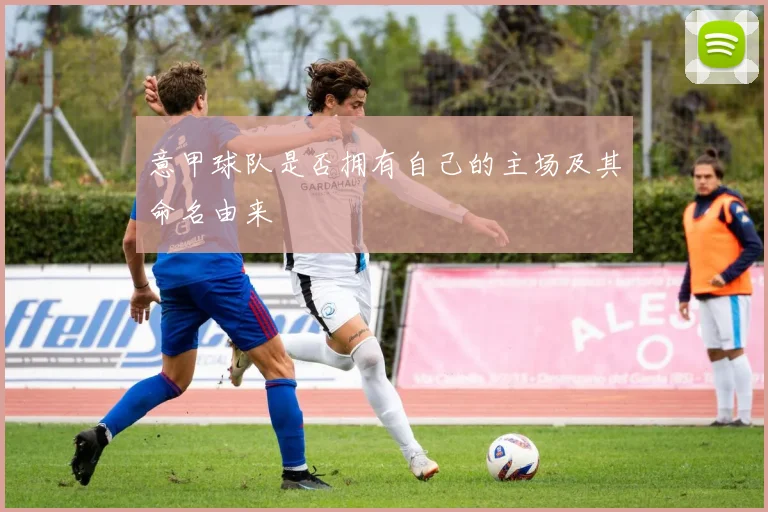 意甲球队是否拥有自己的主场及其命名由来