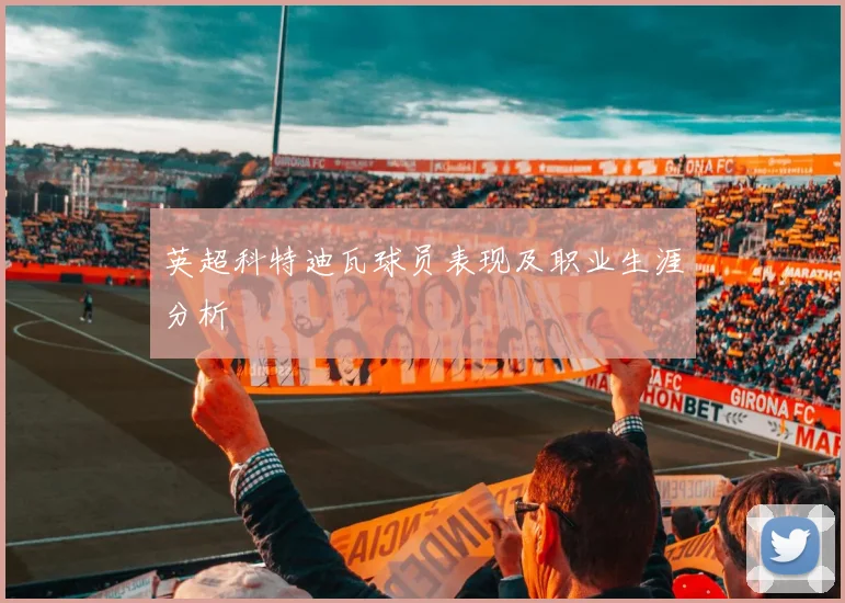 英超科特迪瓦球员表现及职业生涯分析