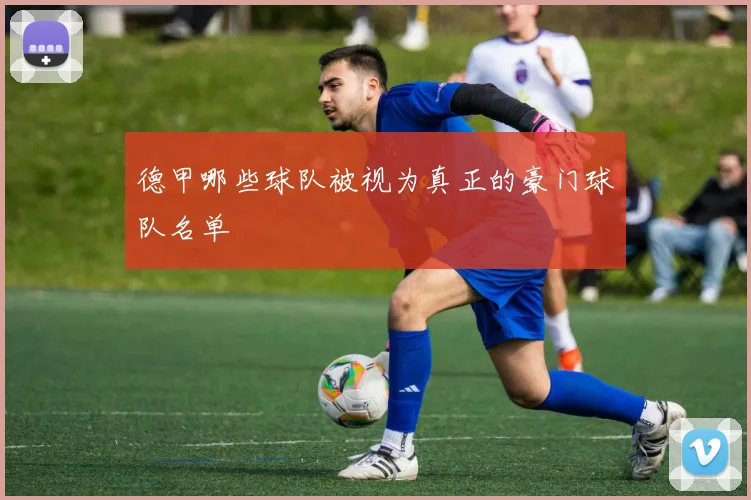 德甲哪些球队被视为真正的豪门球队名单