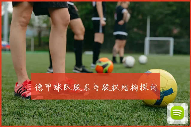 德甲球队股东与股权结构探讨
