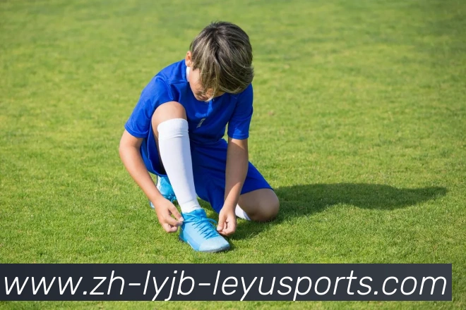 乐鱼体育平台生态图